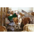BROSSE A VACHE COWCLEANER